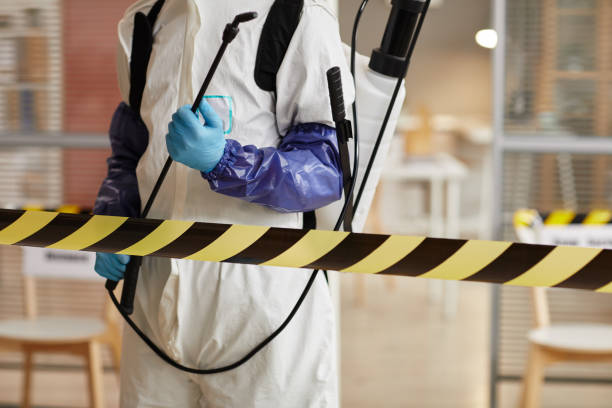 Professional Sewage Cleanup technician working in Stanton, NE